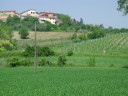 CASTAGNOLE MONFERRATO 2t.JPG